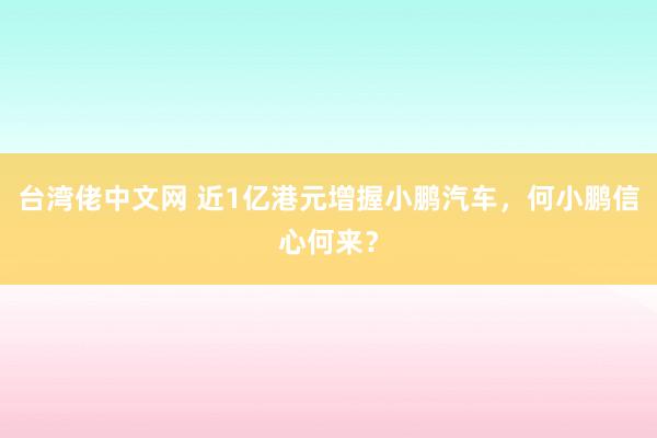 台湾佬中文网 近1亿港元增握小鹏汽车，何小鹏信心何来？