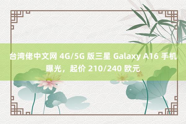 台湾佬中文网 4G/5G 版三星 Galaxy A16 手机曝光，起价 210/240 欧元