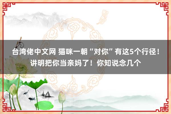 台湾佬中文网 猫咪一朝“对你”有这5个行径！讲明把你当亲妈了！你知说念几个