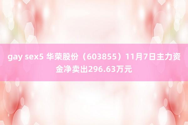 gay sex5 华荣股份（603855）11月7日主力资金净卖出296.63万元