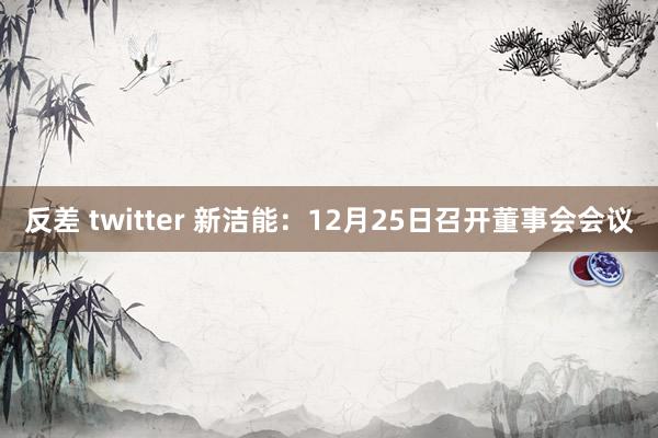 反差 twitter 新洁能：12月25日召开董事会会议